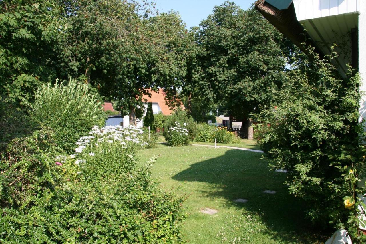 Strandstuebchen Zingst Exterior foto